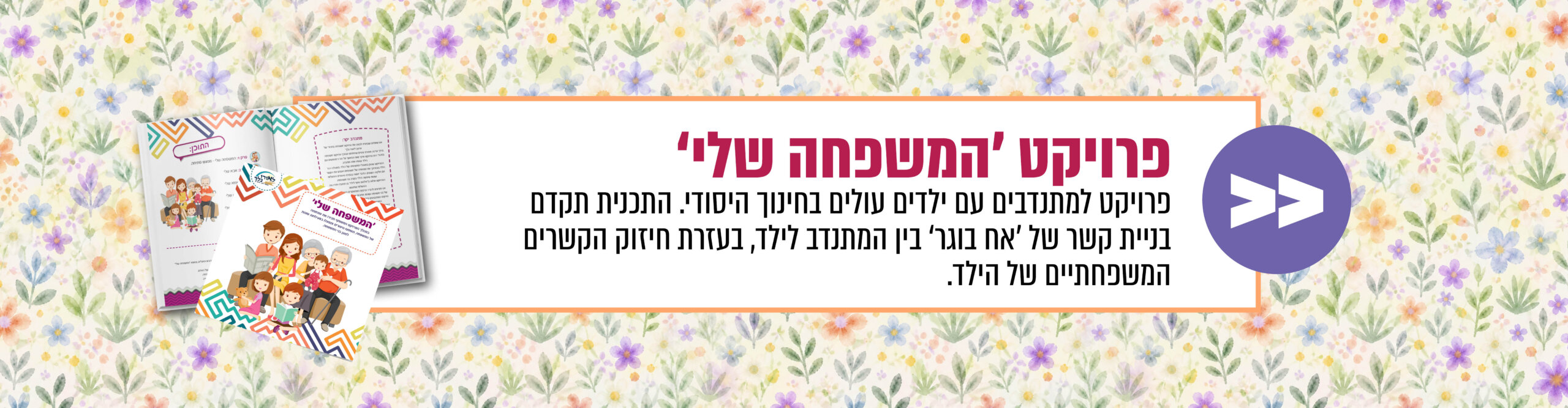באנרים פירוט פרויקטים7